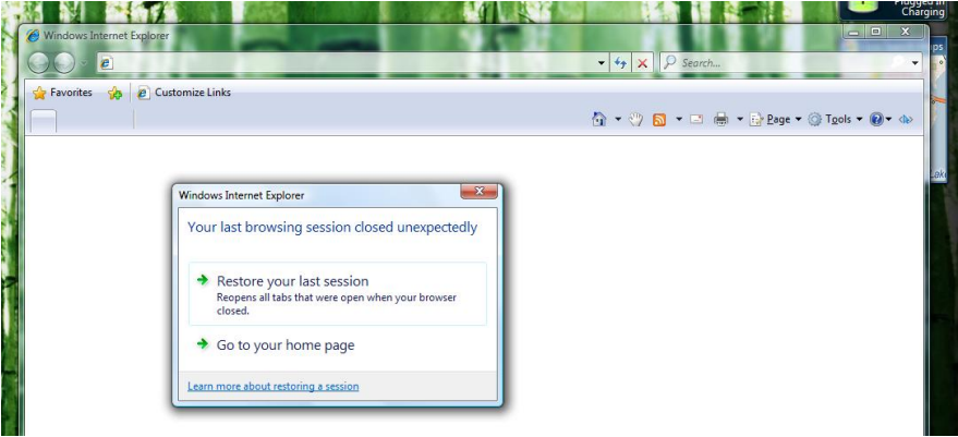 [IE8 White Paper]Automatic Crash Recovery (ACR)