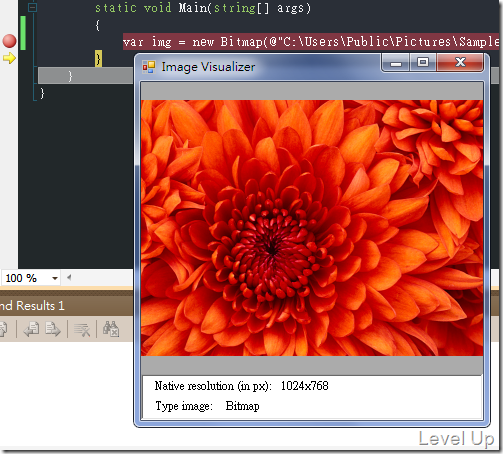 [.NET Resource][Visual Studio]Image Debugger Visualizer