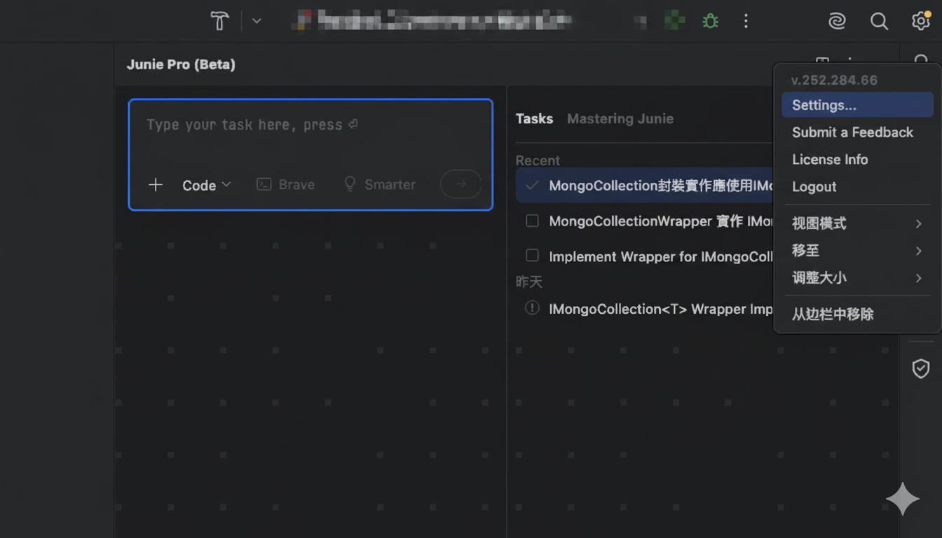 Junie Pro 設定主選單